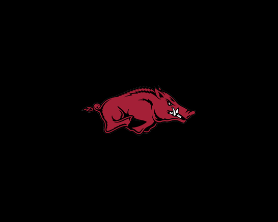 Arkansas Razorbacks