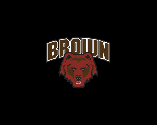 Brown Bears