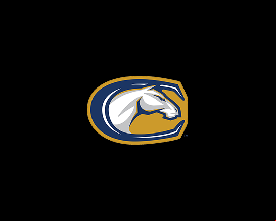 California Baptist Lancers