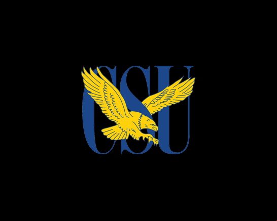 Coppin State Eagles
