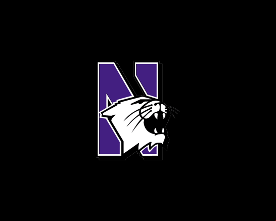 Northwestern Wildcats
