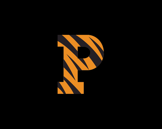 Princeton Tigers