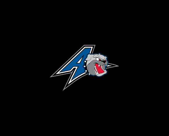UNC Asheville Bulldogs