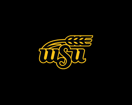 Wichita State Shockers