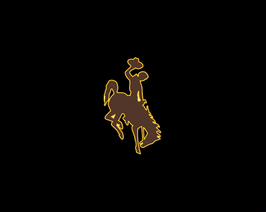 Wyoming Cowboys