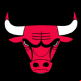 Chicago Bulls