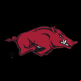 Arkansas Razorbacks