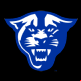 Georgia State Panthers