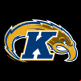 Kent State Golden Flashes